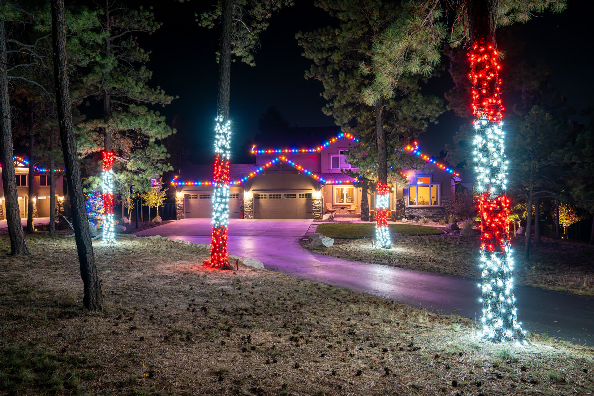 Trees wrapped in red and white C9 Christmas string lights